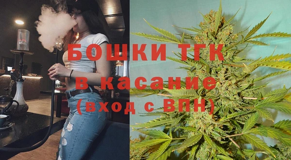 гашик Аркадак