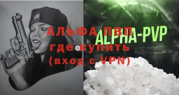 сатива Арсеньев
