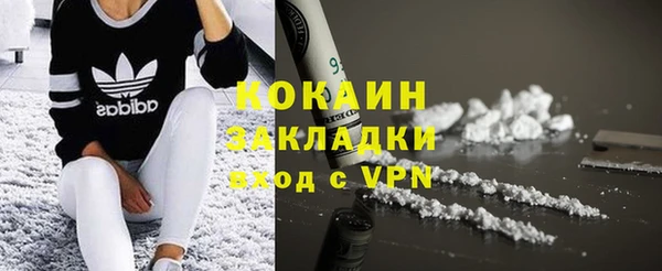 сатива Арсеньев