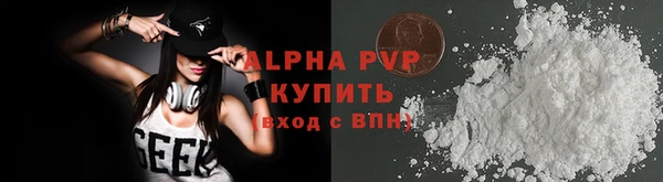 сатива Арсеньев