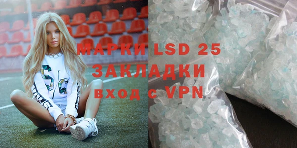 гашик Аркадак