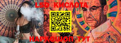 дмт Краснодар