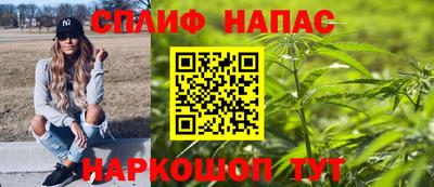 дмт Краснодар