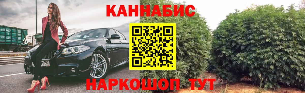 Бошки Шишки конопля  Канабис планчик  Краснознаменск  Вход с VPN 